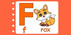 List of Names of Animals That Start With Letter 'F'