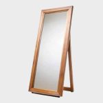 Mirror Reflections Concepts & Applications for Class Live EVS