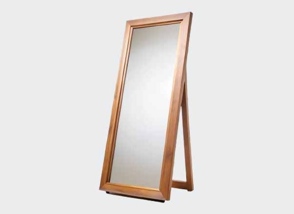 Mirror Reflections Concepts & Applications for Class Live EVS