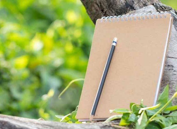 Save Trees Essay in English for Class 3 Students Easy Essay on Save Trees