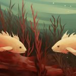 The Three Fishes Story for Kids with Moral A Tale of Planning and Wisdom