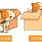 Concept of Inside and Outside