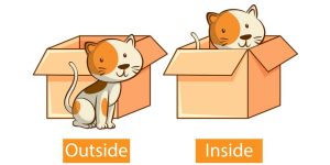 Concept of Inside and Outside