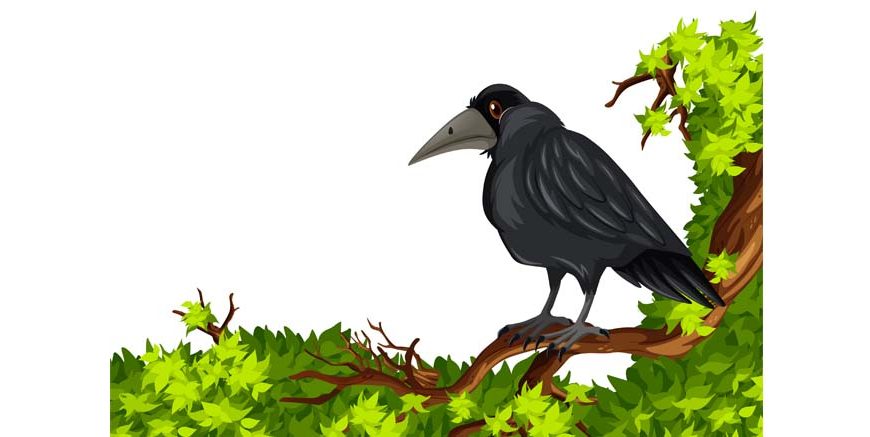Essay On Crows in English for Class 1, 2 & 3 10 Lines, Short & Long Paragraph