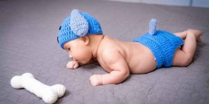Facts About Bones in Babies Learn and Solve Questions