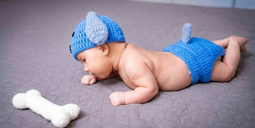 Facts About Bones in Babies Learn and Solve Questions