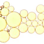 Facts About Lipids: Definition, Functions & Examples Explained