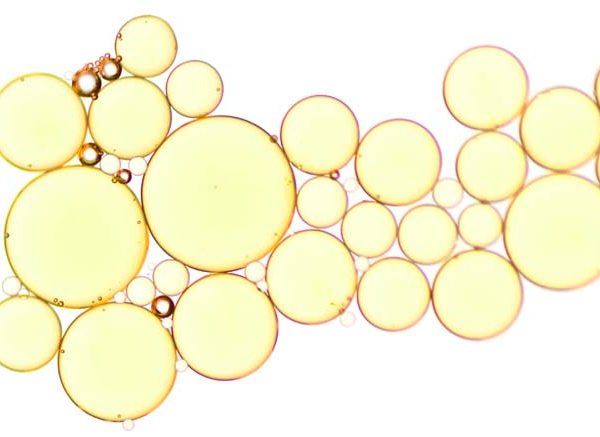 Facts About Lipids: Definition, Functions & Examples Explained