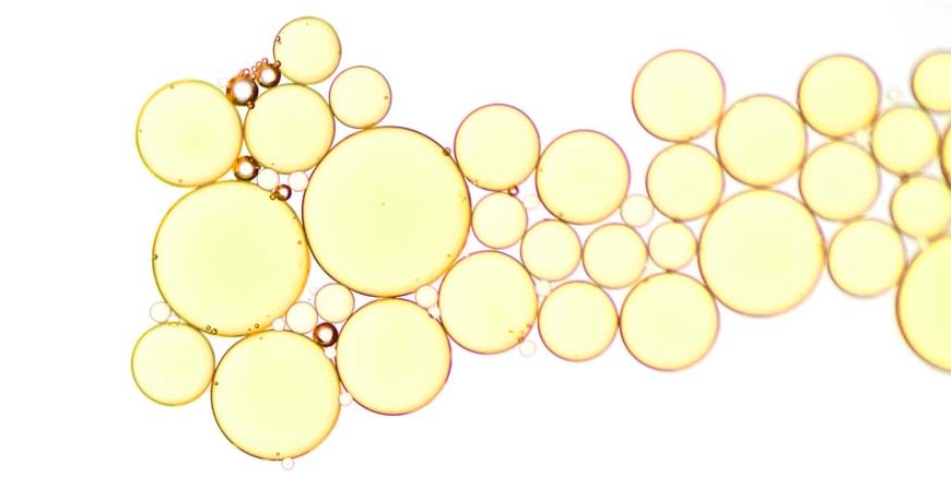 Facts About Lipids: Definition, Functions & Examples Explained