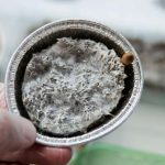 Facts About Nickel Key Properties, Uses & Examples Explained