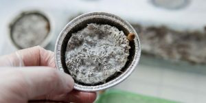 Facts About Nickel Key Properties, Uses & Examples Explained
