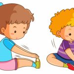 Function of the Knee Key Concepts Explained for Students