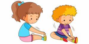 Function of the Knee Key Concepts Explained for Students