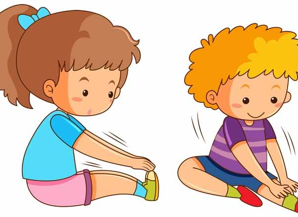 Function of the Knee Key Concepts Explained for Students