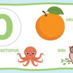 List of 3 Letter Words That Start With 'O' For Children To Learn