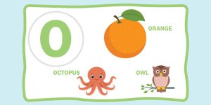 List of 3 Letter Words That Start With 'O' For Children To Learn