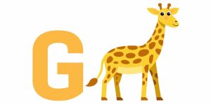 List of Names of Animals That Start With Letter 'G'