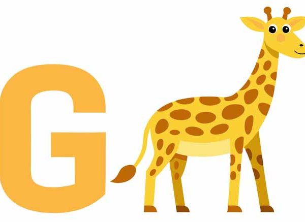List of Names of Animals That Start With Letter 'G'