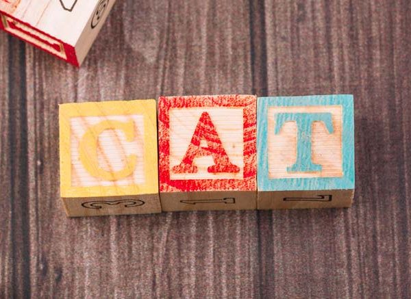 List of Words That Start With 'Dis' For Children To Learn