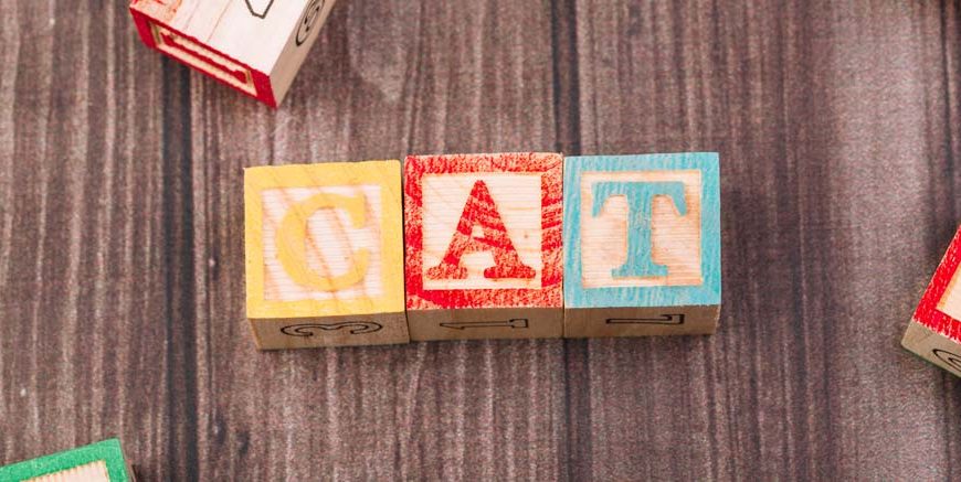 List of Words That Start With 'Dis' For Children To Learn
