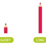 Long And Short Concept For Preschoolers