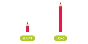 Long And Short Concept For Preschoolers
