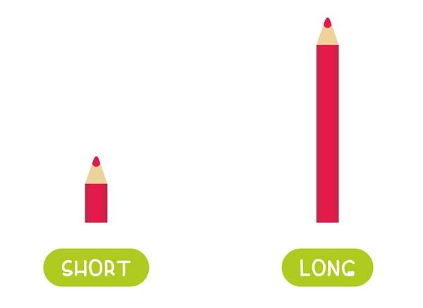 Long And Short Concept For Preschoolers