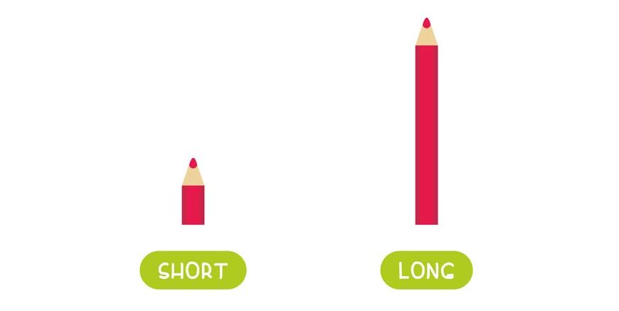 Long And Short Concept For Preschoolers