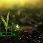 Nitrogen Cycle Definition, Steps & Role in Nature (2026)