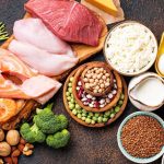 Protein Composition Structure, Functions & Examples Explained