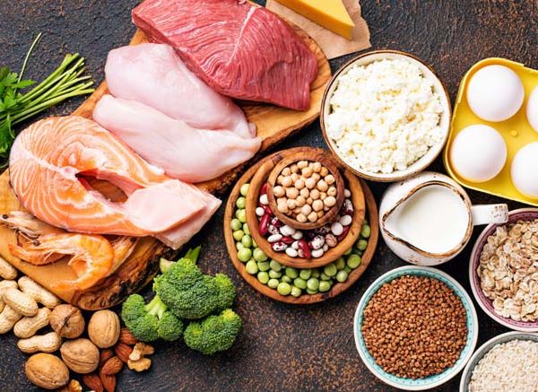 Protein Composition Structure, Functions & Examples Explained