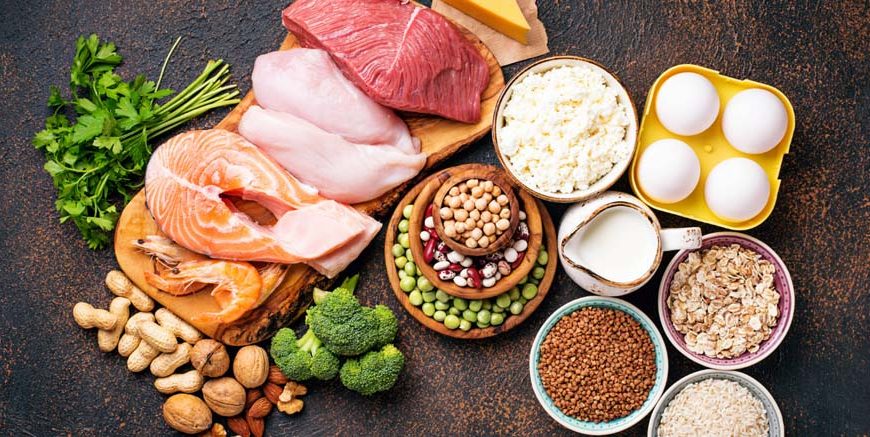 Protein Composition Structure, Functions & Examples Explained