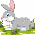 Rabbit – Facts, Diet, Habitat, Features & Information for Students (2026)