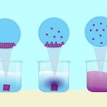 States of Matter Key Examples & Concepts Explained