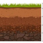 Teach Layers Of Soil For Preschool Kids With These Activities