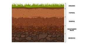 Teach Layers Of Soil For Preschool Kids With These Activities