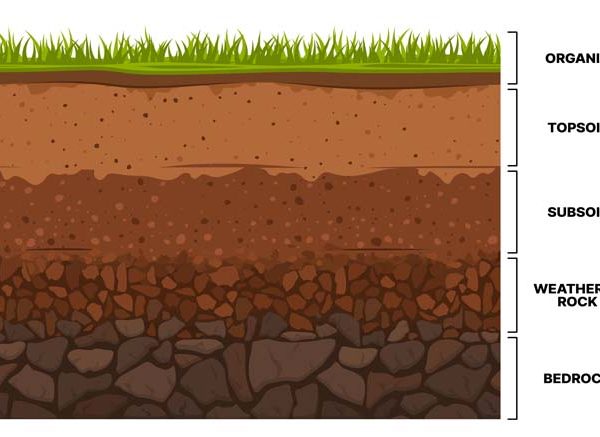 Teach Layers Of Soil For Preschool Kids With These Activities