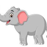 Teach Your Kids About Elephant Body Parts (With Picture)
