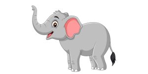 Teach Your Kids About Elephant Body Parts (With Picture)