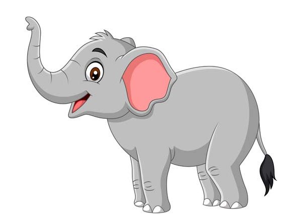 Teach Your Kids About Elephant Body Parts (With Picture)