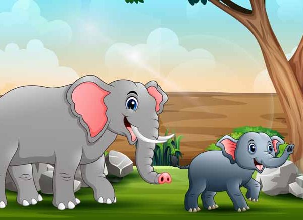 The Elephant And The Tailor Story For Children With Moral
