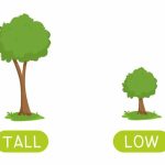 Too big, too small Kids English Learning