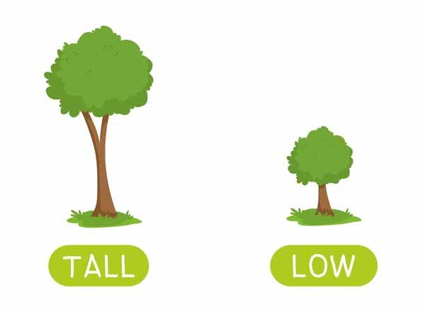 Too big, too small | Kids English Learning