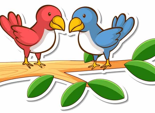 Two Little Dickie Birds Nursery Rhyme For Kids With Lyrics
