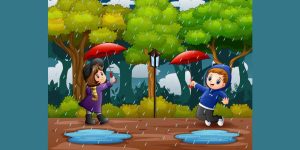 Uses of Rains Learn Important Terms and Concepts