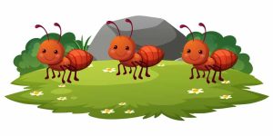 The Ants Go Marching A Nursery Rhyme Every Indian Household Should Know