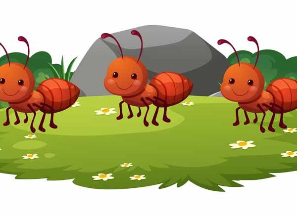 The Ants Go Marching A Nursery Rhyme Every Indian Household Should Know