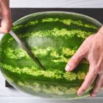 Watermelon Rind Uses Learn Important Terms and Concepts