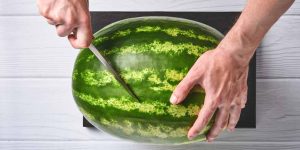 Watermelon Rind Uses Learn Important Terms and Concepts