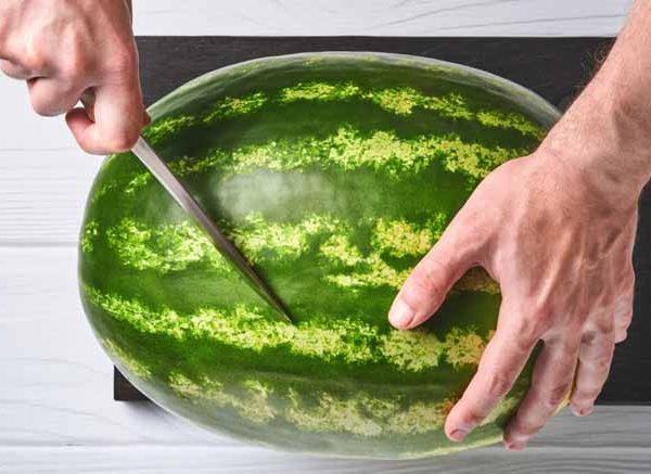 Watermelon Rind Uses Learn Important Terms and Concepts
